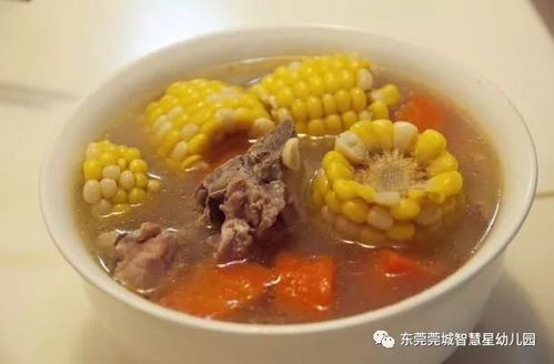 (猪筒骨煲胡萝卜)猪筒骨煲红萝卜的营养价值与保健功效解析，打造健康美味餐桌